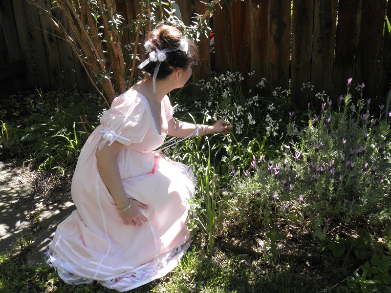 Reproduction Regency Peach with White Sheer Ball Gown. In the Garden. April 2011