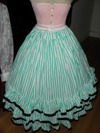 teal roses fancy dress underskirt front view